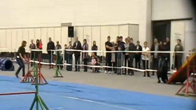Кутянина Анна и ризен Бастилия смотреть онлайн