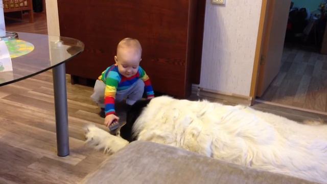 Sobaka Maka, poigraj so mnoj смотреть онлайн