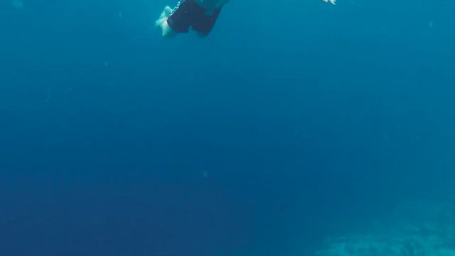 MALDIVES DEEP BLUE смотреть онлайн