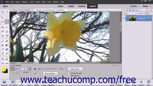 Photoshop Elements 15 Tutorial Creating Brush Tips From Selections Adobe Training