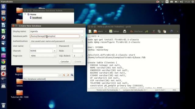 Curso de Programação: Instalar Firebird + Flamerobin Ubuntu смотреть онлайн