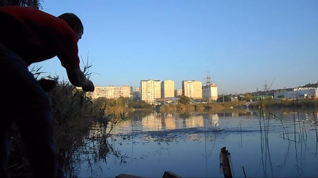 Ловля щуки на пруду-летом.На живца.7 смотреть онлайн