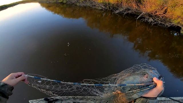 С корабля на бал или кастинговая сеть в деле ЕКЛМН! Рыбалка с лодки на кастинговую сеть американку смотреть онлайн