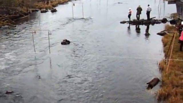 29.09.2012 Соревнования на каяках на р.Ваймуге Арх.обл. смотреть онлайн