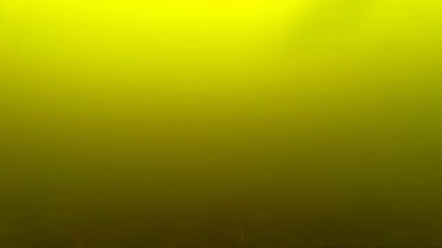 Глухозимье. Вид со дна. смотреть онлайн