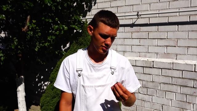 ИСЧЕЗНОВЕНИЕ! Оливка пропала! Новенькая девочка Журналист пришла в лагерь разобраться с Мистикой! смотреть онлайн