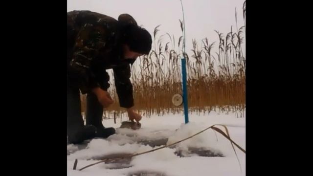 Приколы на рыбалке / Большие трофеи и неудачи на рыбалке смотреть онлайн