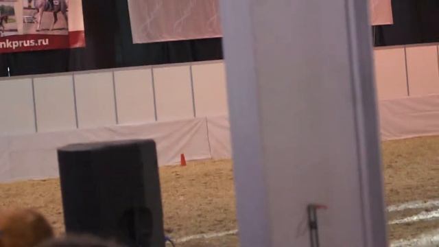 Чёрный лебедь смотреть онлайн