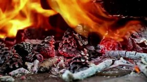 Сборник страшных историй про лес! Страшные истории. Лес. Истории на ночь. Аудиокнига. Деревня. Ужас