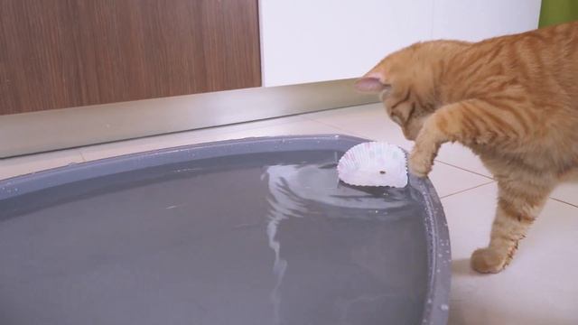 Морской Бой! ЮКИ vs Лучик: Сколько кораблей потопит противник? смотреть онлайн