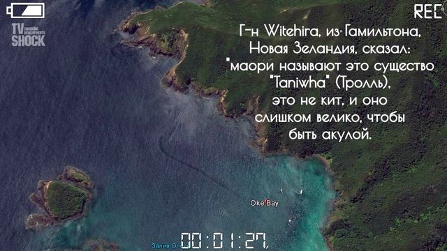 ГИГАНТСКОЕ МОРСКОЕ СУЩЕСТВО В НОВОЙ ЗЕЛАНДИИ смотреть онлайн