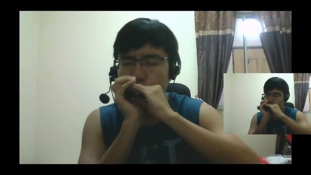 爱尔兰画眉 The Sally Garden [Joe Harmonica] 口琴Cover смотреть онлайн