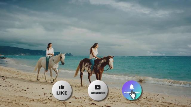 This is The Best Graduation Gift | My Top 5 смотреть онлайн