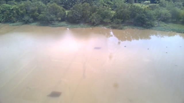 Teleférico de Santo Domingo, vista del río Ozama. смотреть онлайн