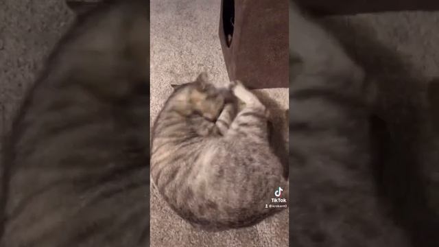 Воспитательный процесс