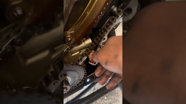 2003 crown Victoria timing chain replacement смотреть онлайн