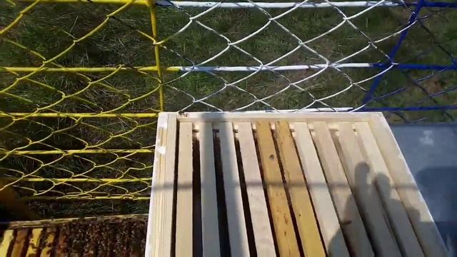 Если нет магазиной суши что делать? смотреть онлайн