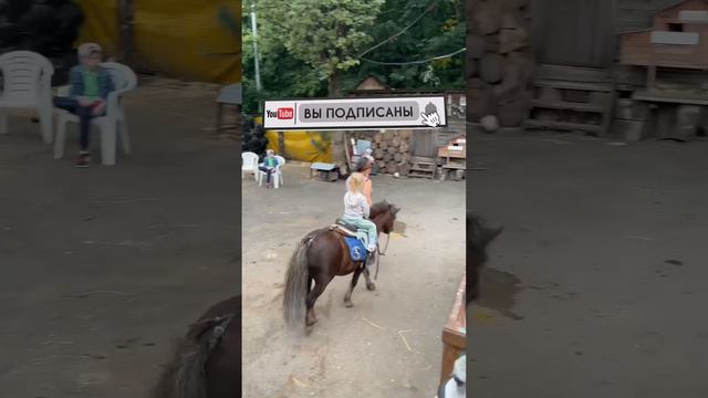 КТО КАТАЛСЯ НА ЛОШАДЯХ?!