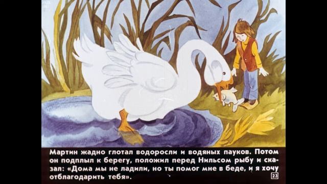 Чудесное путешествие Нильса с дикими гусями 1часть ДИАФИЛЬМ озвученный повесть Сельмы Лагерлёф смотреть онлайн