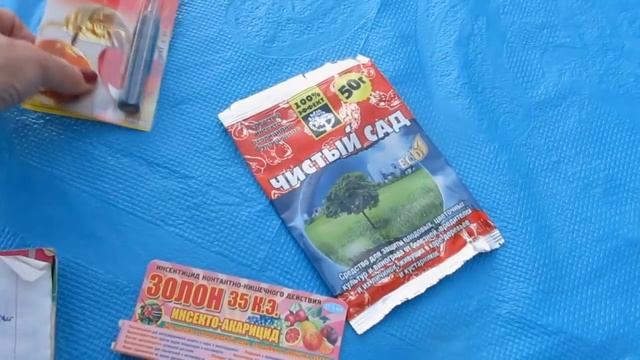 СПАСАЕМ КЛУБНИКУ от ЗЕМЛЯНИЧНЫХ КЛЕЩЕЙ ... SAVING THE STRAWBERRY from earth mites HD смотреть онлайн