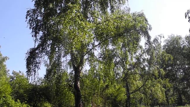 Чингирлау полустанок смотреть онлайн