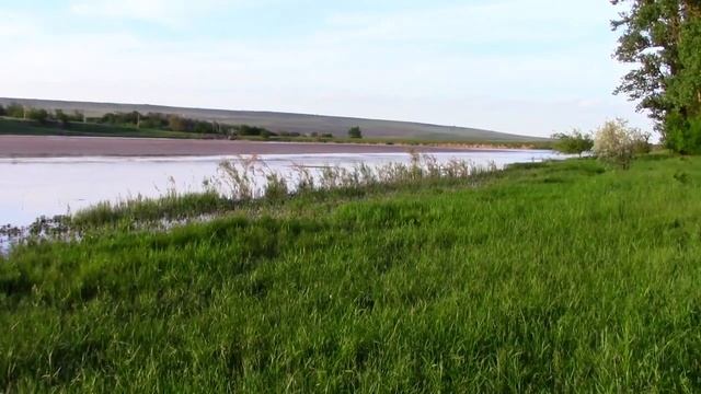 21_05_2019_СЕЛЬСКИЙ ПРУД_с.ГОФИЦКОЕ_СТАВРОПОЛЬСКИЙ кр.mp4 смотреть онлайн