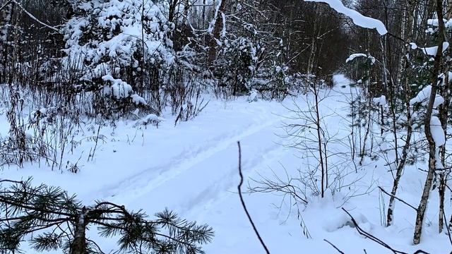 ПЛАНЫ НА ВЕЛО СЕЗОН 2021 смотреть онлайн