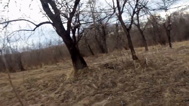 Прогулка для козлят смотреть онлайн