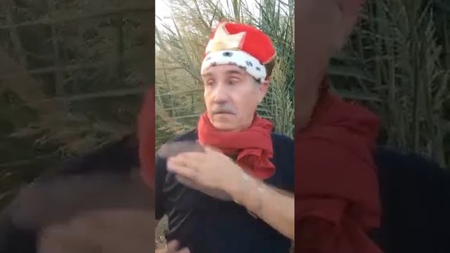 Поручик Ржевский и царь