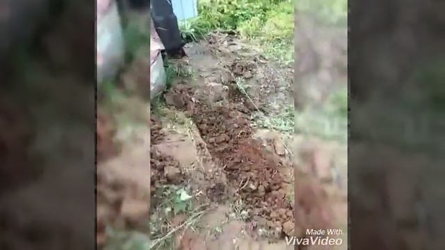 Профессиональный Строитель