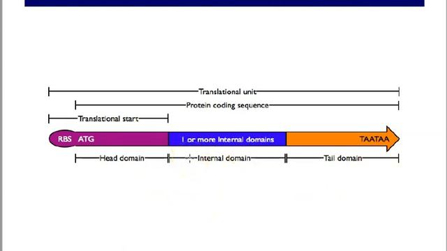 SYNTHETIC BIOLOGY: AN INTRODUCTION смотреть онлайн