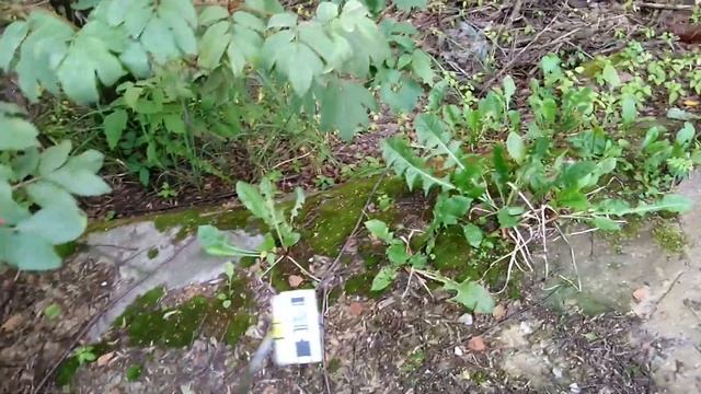 Кто оставил пробы? смотреть онлайн