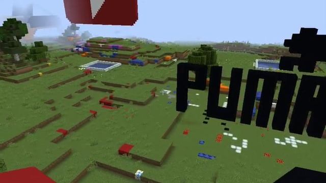 Puma  MINECRAFT