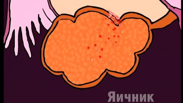 "Когда девочка взрослеет". 1-я часть. смотреть онлайн