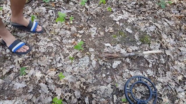 КОП В ЛЕСУ С МЕТАЛЛОИСКАТЕЛЕМ!!!! ПОЛЬША!!! ВОЕННЫЕ НАХОДКИ!!! смотреть онлайн