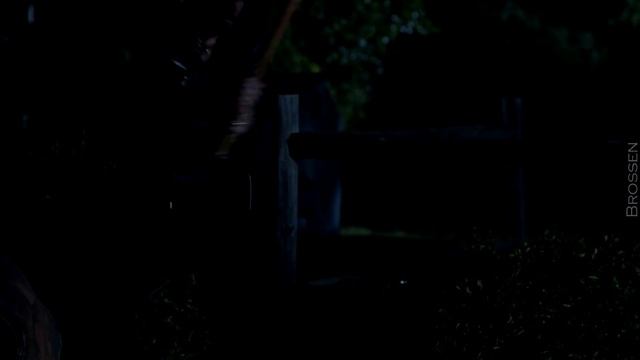 Ниган. Важно лишь то, на что я способен [10.22]