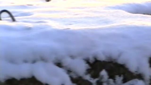 Russian Winter (Panasonic AG-DP200 (S-VHS)) смотреть онлайн