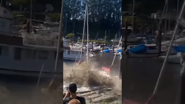 Thousands $$ Worth Of Damage Caused By Rogue Wave смотреть онлайн