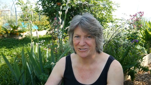 What To Sow In MAY | Get The Most From Your Vegetable Garden (2021)