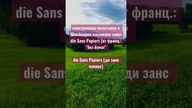 Швейцария #швейцария #язык #швейцарскаяжизнь #путешествия смотреть онлайн