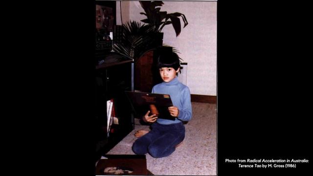 The Test That Terence Tao Aced at Age 7 смотреть онлайн