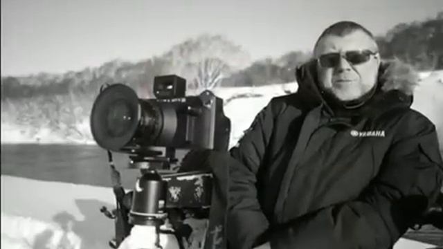 Убежищe для дикого лосося 480x272 смотреть онлайн