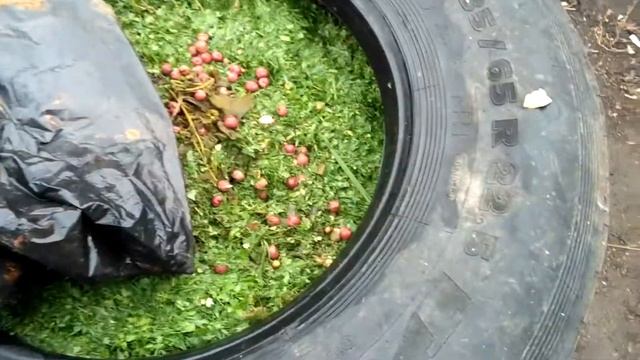 Компостная яма своими руками или ТУРБО КОМПОСТЕР БЕСПЛАТНО смотреть онлайн