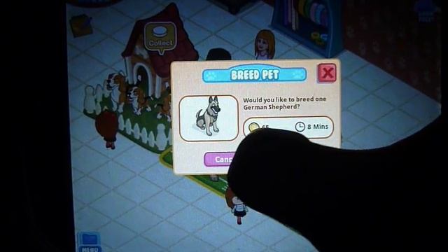 Pet Shop Story: Summer APP Review-Deine Tieraufzucht смотреть онлайн