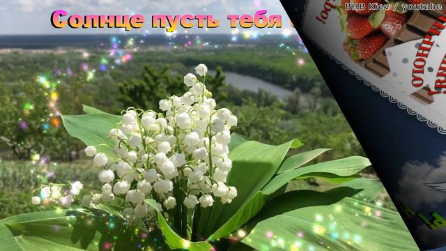 С добрым утром! Удачного дня! Хорошего настроения! смотреть онлайн