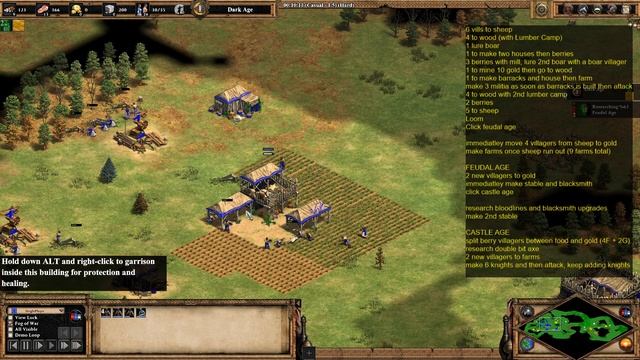 AOE2 Drush Fast Castle Into Knights Build Order Tutorial смотреть онлайн