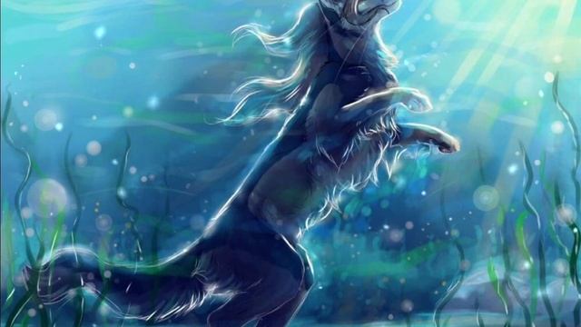 Welcome to the magic cat world!?? смотреть онлайн