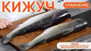 ДИКИЙ или АКВАКУЛЬТУРНЫЙ кижуч. Чем отличается красная рыба из Чили и Дальнего Востока? Сравнение