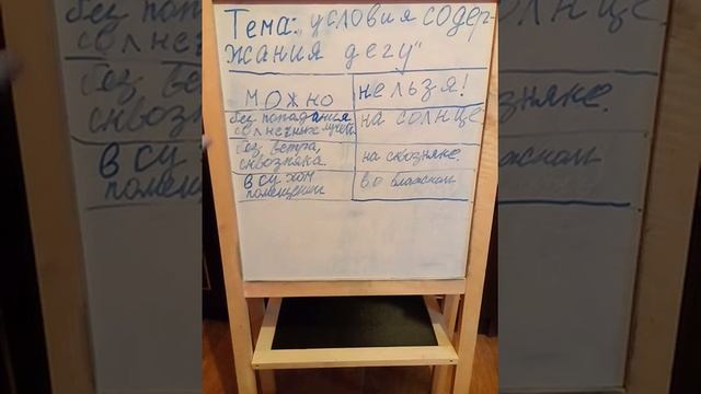 Условия содержания дегу смотреть онлайн