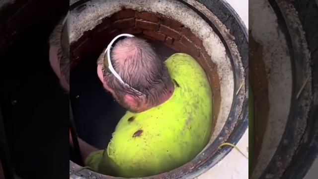 #дезинсекция #детализац#дезодорант #дезинфектор #клопы #клоп #КЛОПОВ #таракан #скорпион #МУХ #вирус